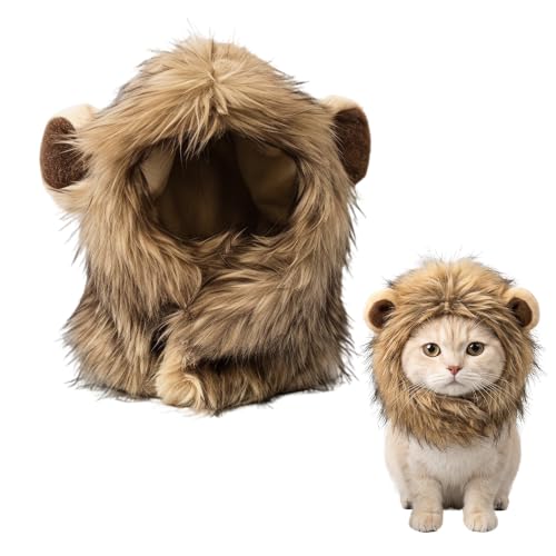 Crinière Lion Chien Chat Halloween