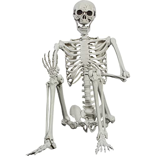 SIFOEL Squelette d'halloween - 165 cm - Taille réaliste - Squelette Humain - avec articulations Mobiles - Décoration de Maison hantée