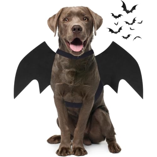 Déguisement Halloween Chien, Ailes Chauve-Souris Réglables e