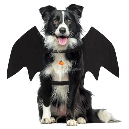 Futerly Deguisement Halloween Chien, Ailes Chauve Souris Chi