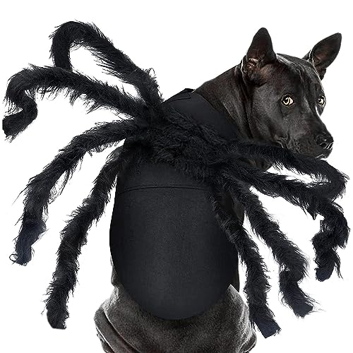 Costume daraignée géante en Fourrure pour Chats et Chiens de