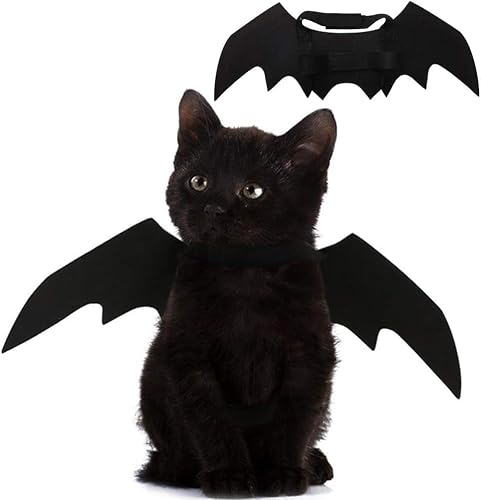 SULOLI Ailes de Chauve - Souris de Chat Costume de Chien Cha