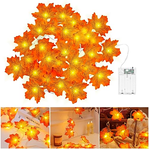 cshare Guirlande dautomne, Decoration Automne pour Halloween